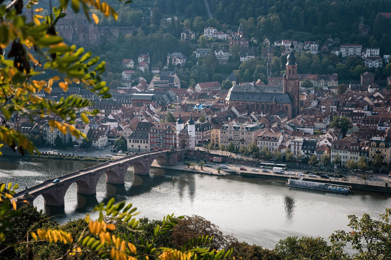 Heidelberger Altstadt mit Alter Brücke